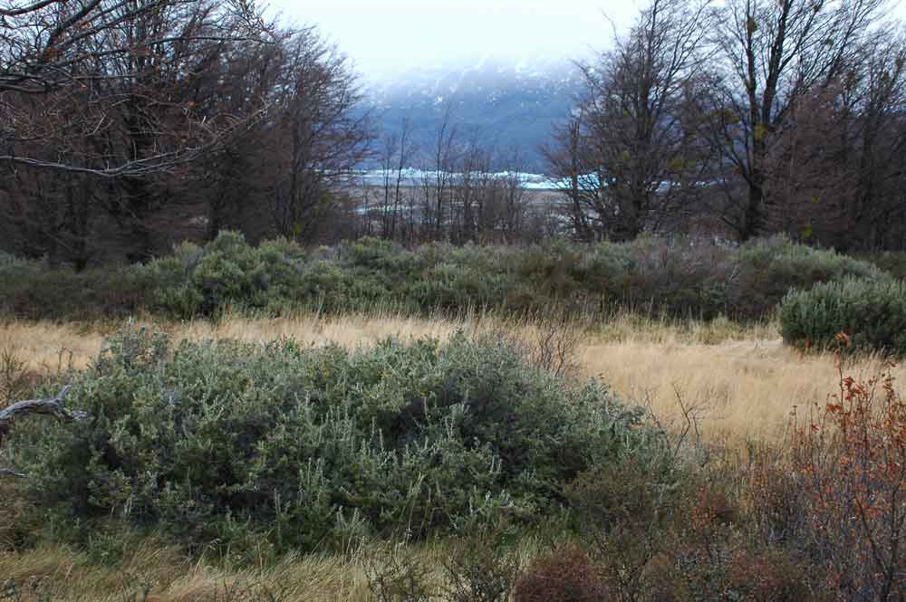 11 - Chile - parque nacional Torres del Paine, paisaje